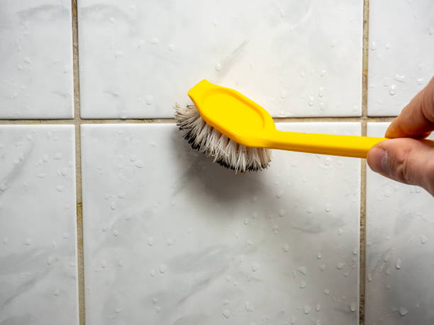 Best Best Mold Removal Companies  in Decordova, TX