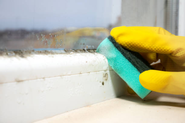 Best Emergency Mold Removal  in Decordova, TX