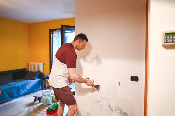 Best Mold Remediation  in Decordova, TX
