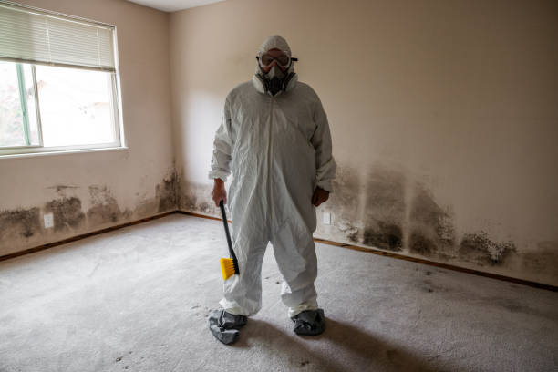 Best Mold Damage Repair  in Decordova, TX